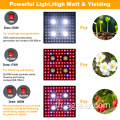 cree cree grow light มีประสิทธิภาพ 2000w